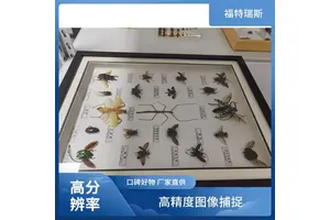 福特瑞斯 高分辨率 植物标本非接触式扫描仪 可调光源系统