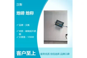 汉衡SCS-5T本安防爆电子地磅 不锈钢耐腐蚀带打印整体隔爆地秤