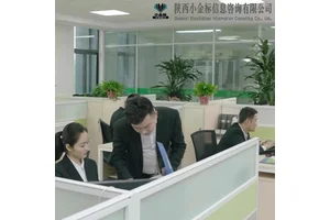 明山标书制作范本安保服务投标文件 小金标图文并茂定制服务