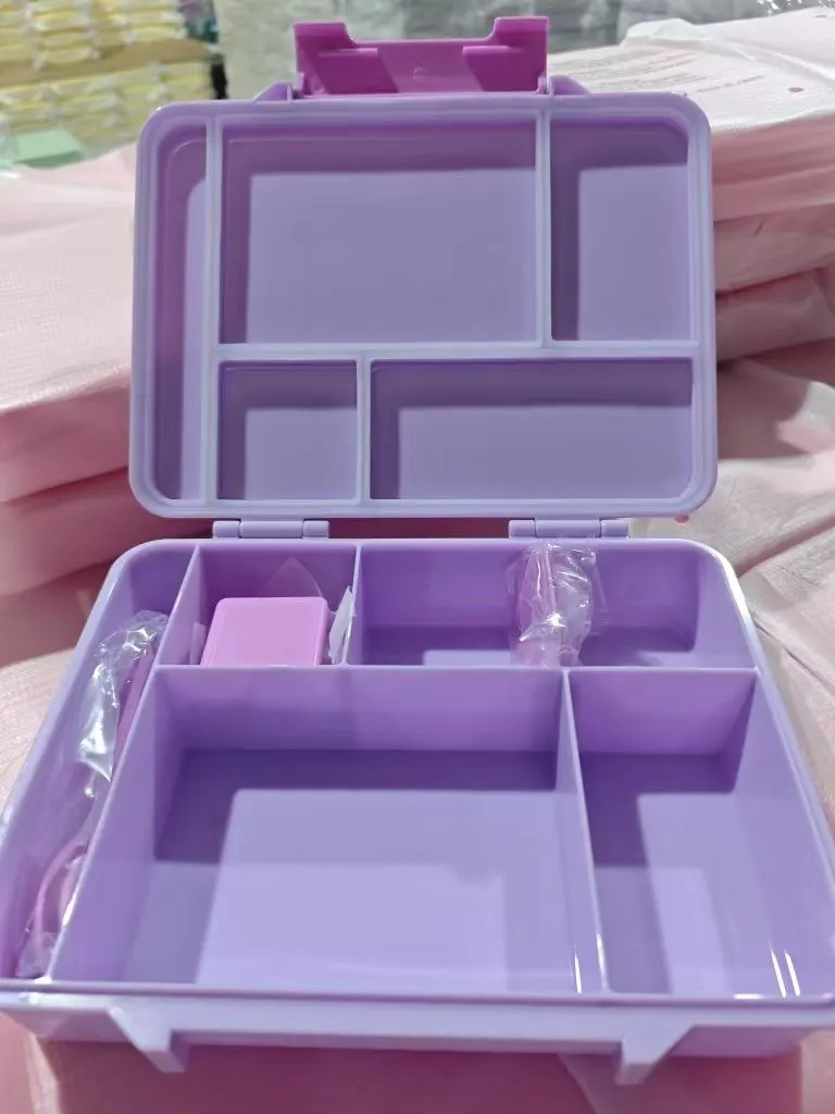 Aohea 2024 Leak Proof  Newest Multi Compartment Printed Plastic Small Lunch Box  BPA Free Bento Snack Box for Kids and Students