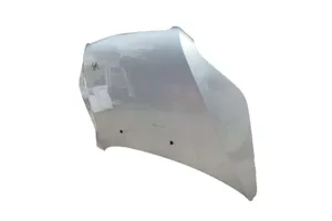 Wholesale IRON Hood for CHEVROLET LOVA 2006-2011 New Engine Hood with OEM NO.9029005 9039153 Includes Bolts