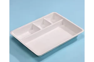 Disposable Syringe Tray Sugarcane Bagasse